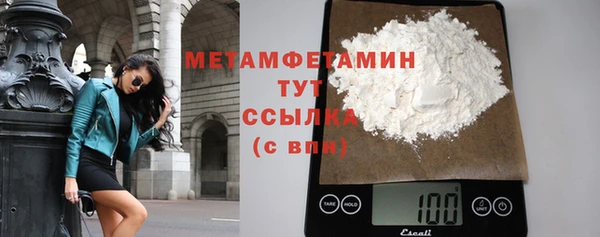 гидра Елизово