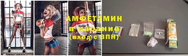 гидра Елизово
