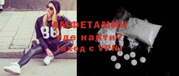 мет Ельня