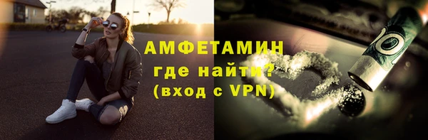 гидра Елизово