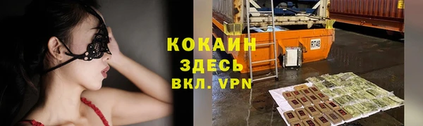 мет Ельня