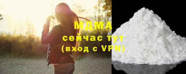 гидра Елизово