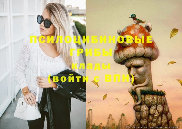 гидра Елизово
