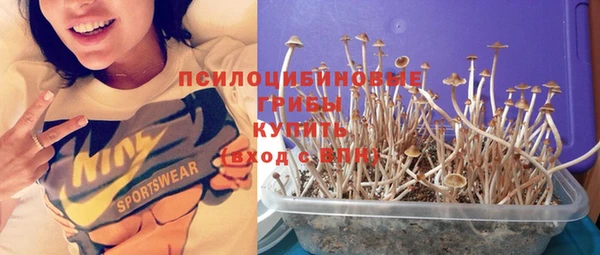 гидра Елизово