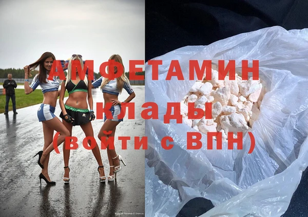 гидра Елизово