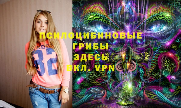 стафф Заводоуковск