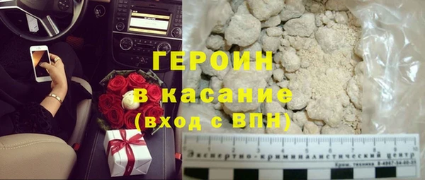 гидра Елизово