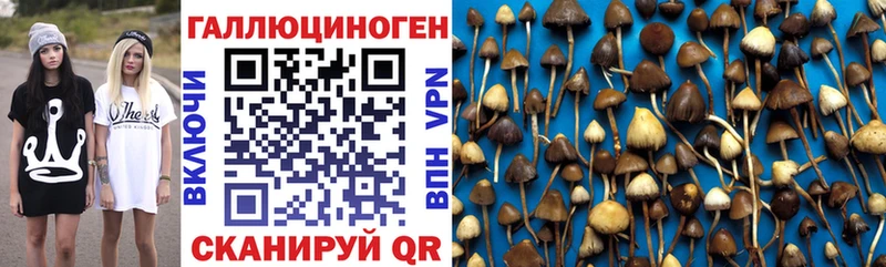 Псилоцибиновые грибы GOLDEN TEACHER  Купить закладки  Среднеуральск 